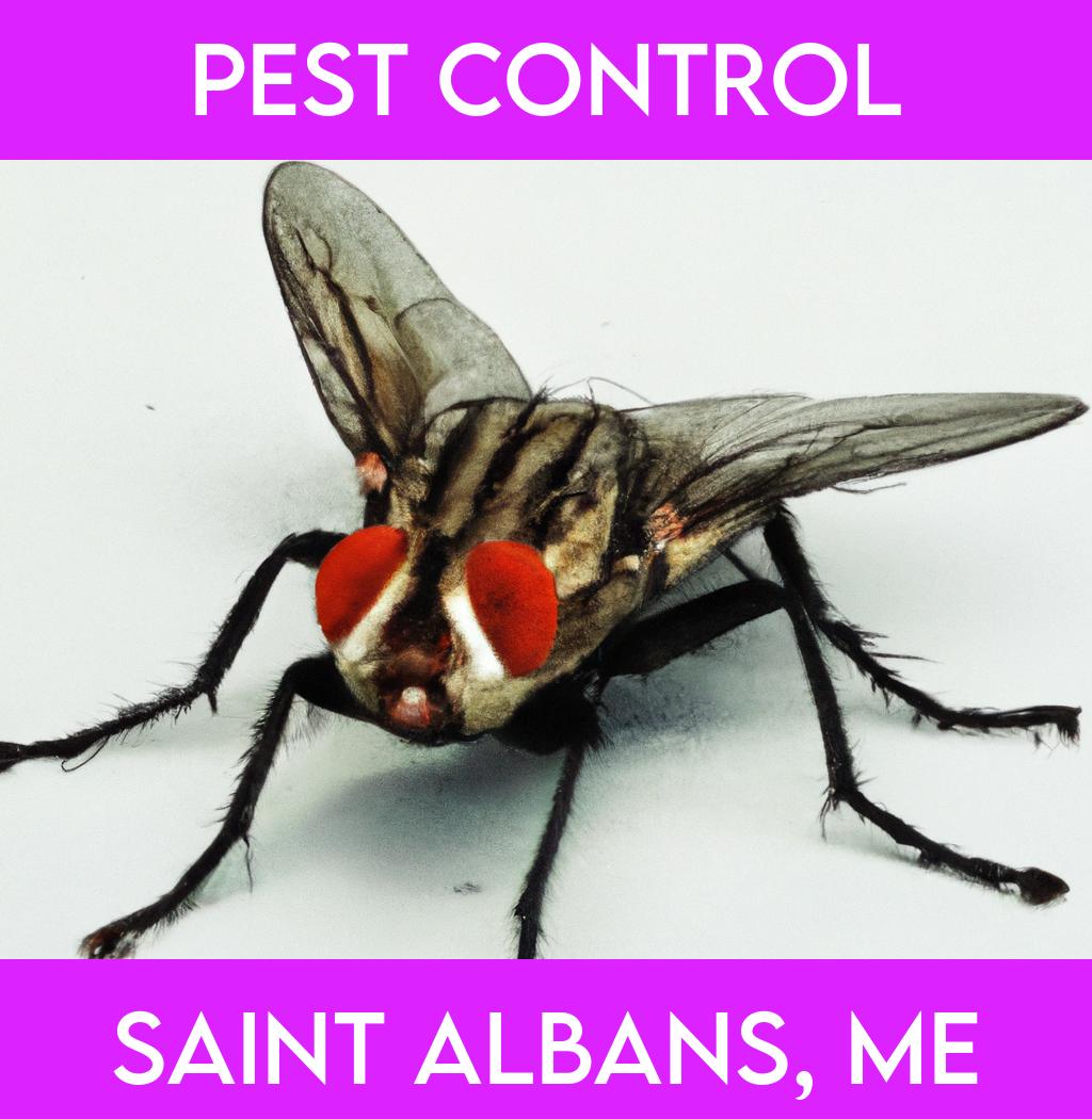 pest control in Saint Albans Maine