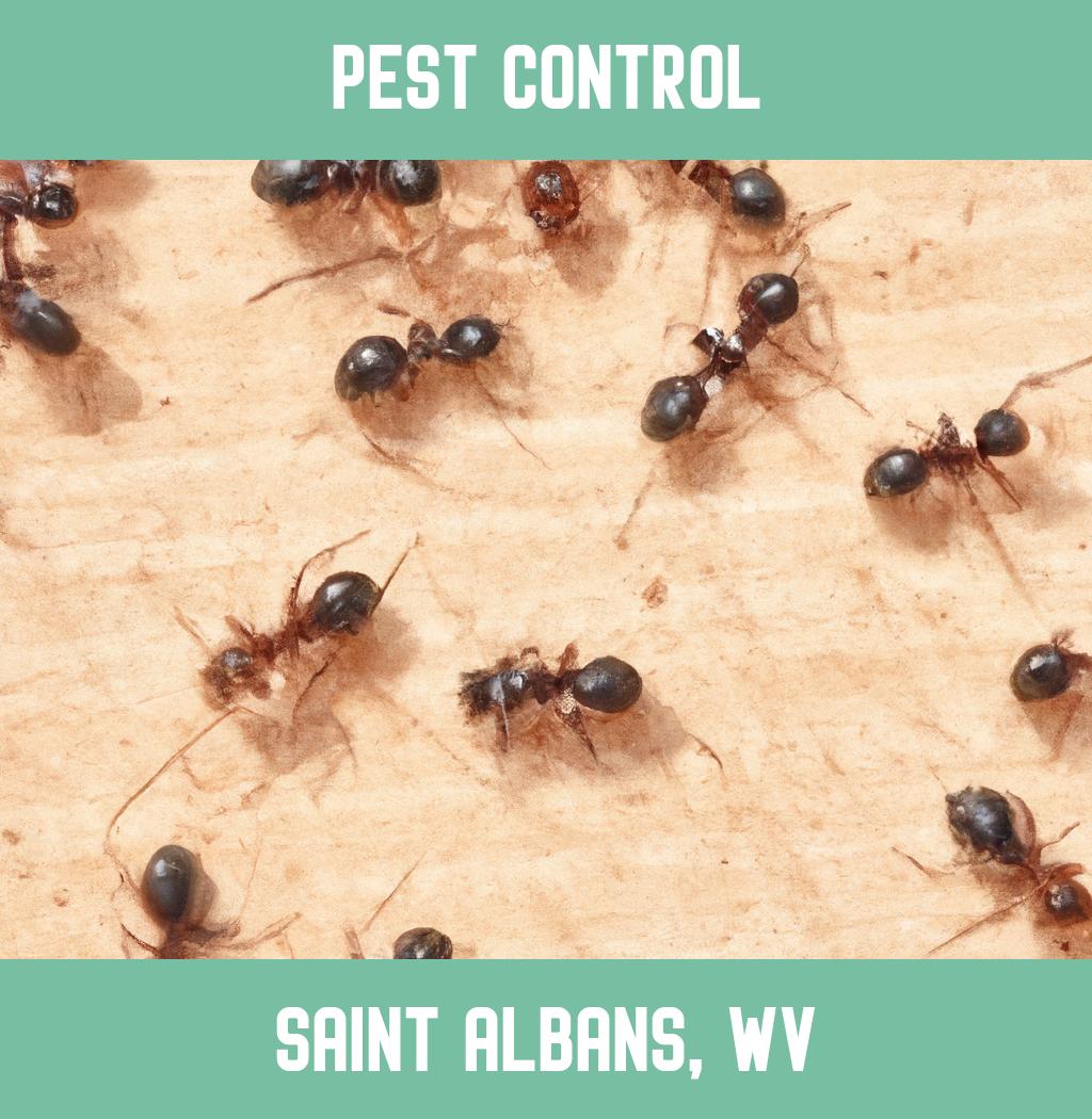 pest control in Saint Albans West Virginia