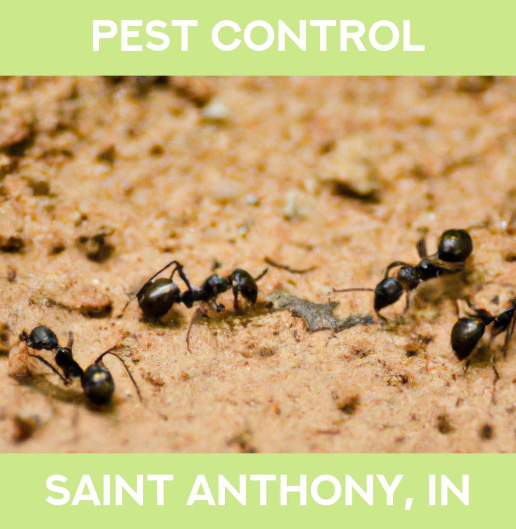 pest control in Saint Anthony Indiana