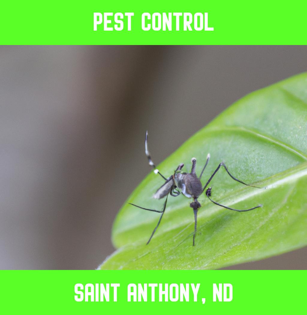 pest control in Saint Anthony North Dakota