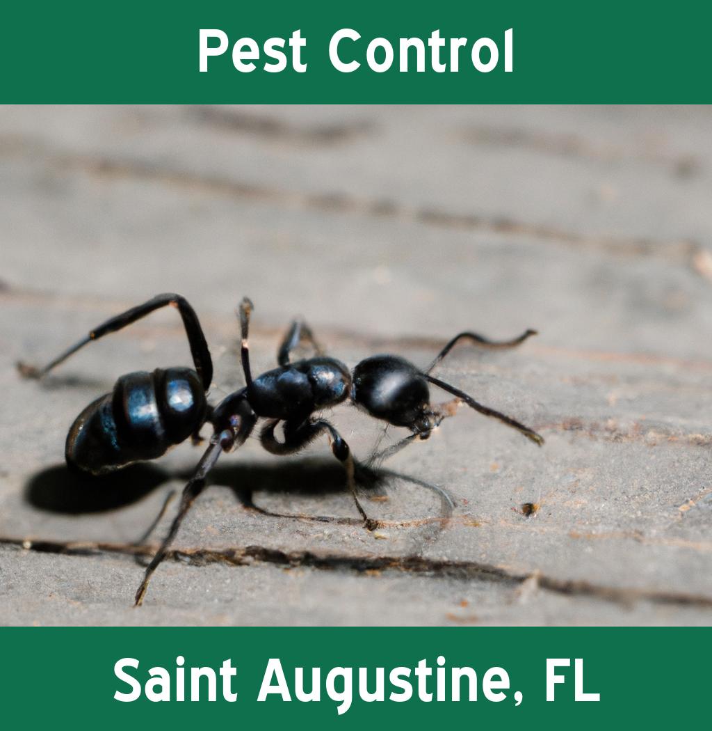 pest control in Saint Augustine Florida