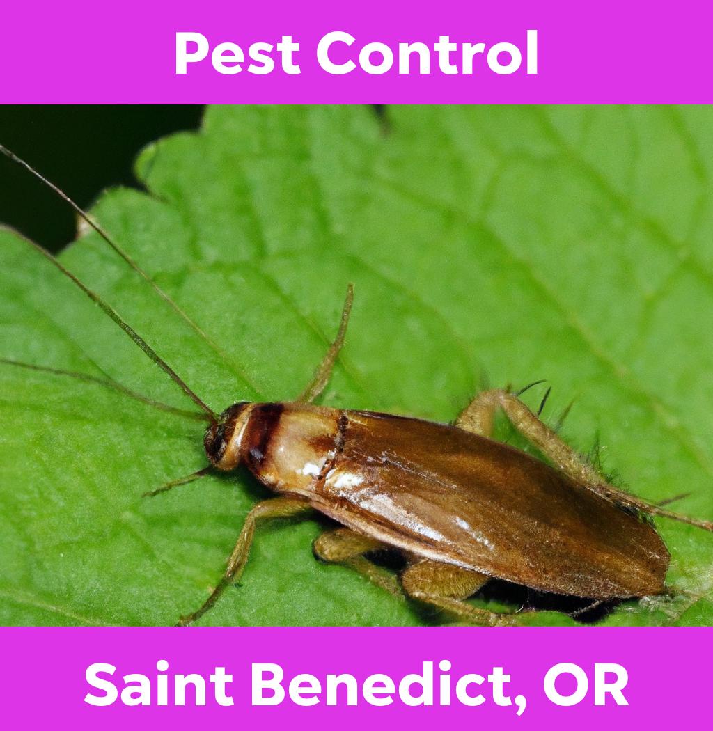 pest control in Saint Benedict Oregon
