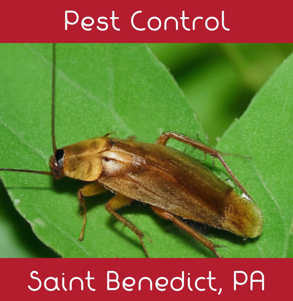 pest control in Saint Benedict Pennsylvania