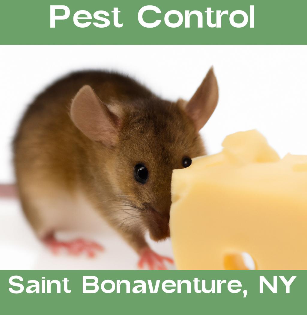 pest control in Saint Bonaventure New York