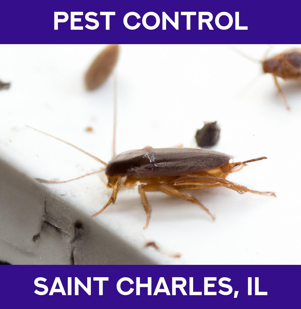 pest control in Saint Charles Illinois