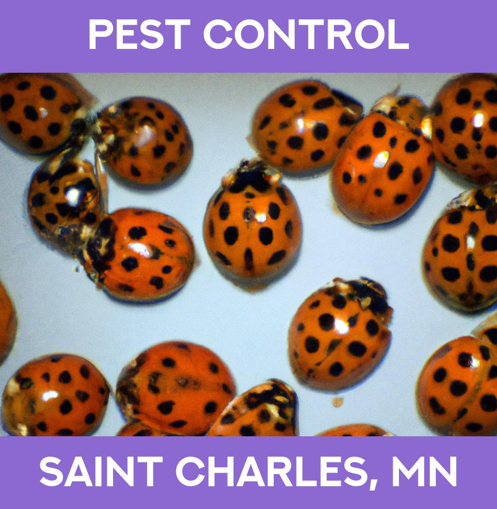 pest control in Saint Charles Minnesota