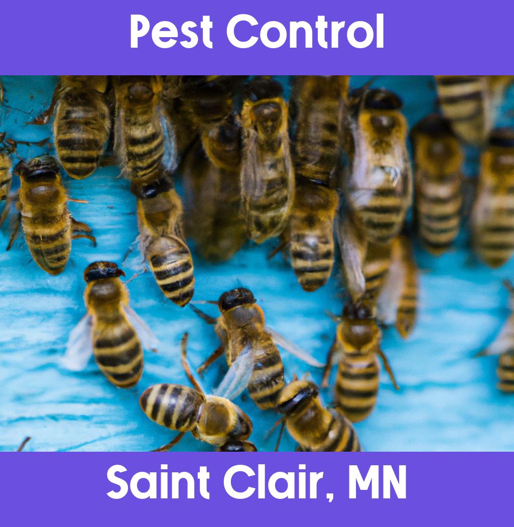 pest control in Saint Clair Minnesota