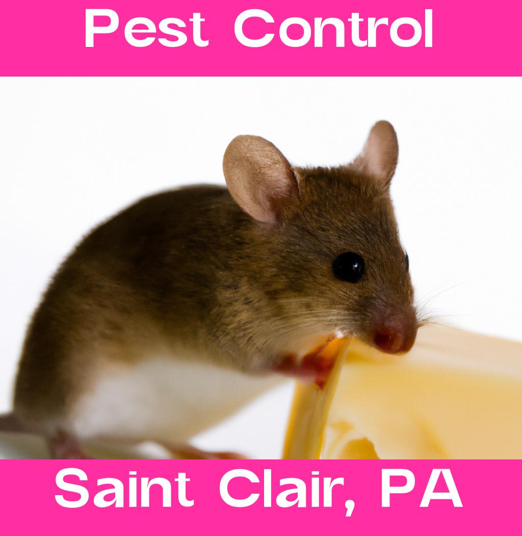 pest control in Saint Clair Pennsylvania