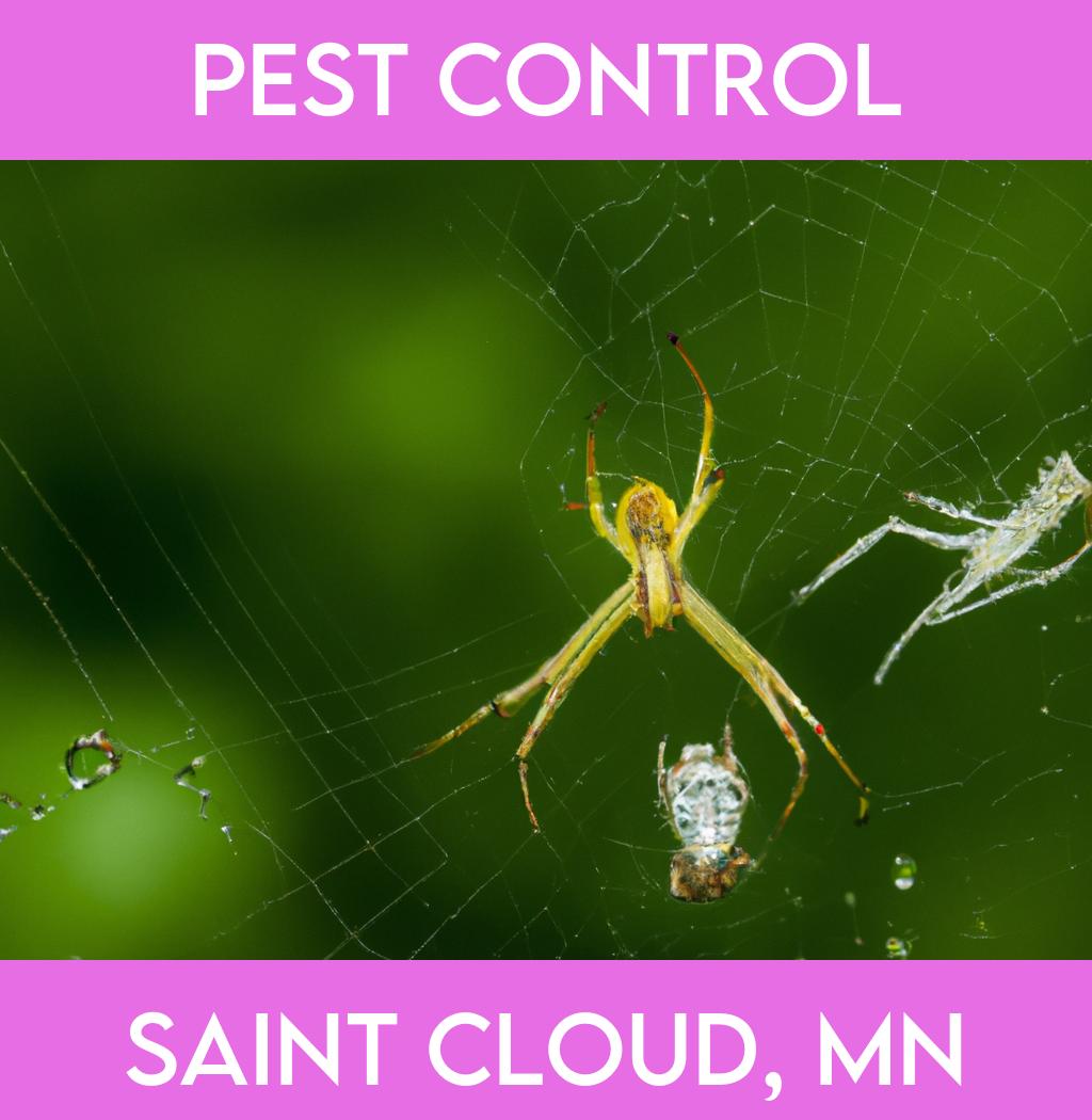 pest control in Saint Cloud Minnesota