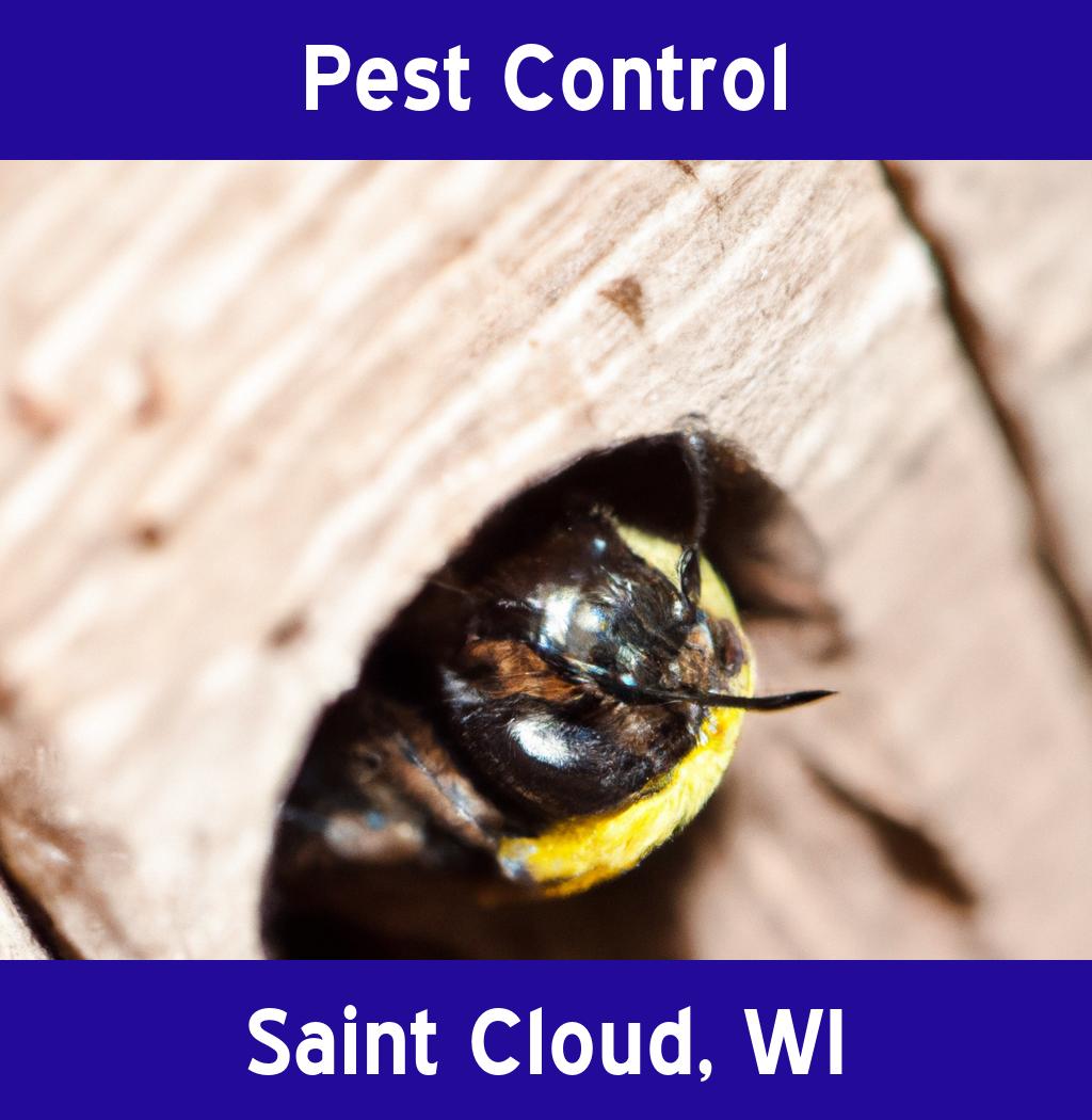 pest control in Saint Cloud Wisconsin