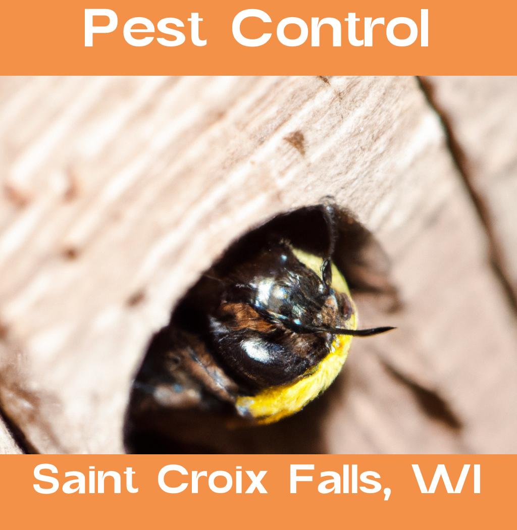 pest control in Saint Croix Falls Wisconsin
