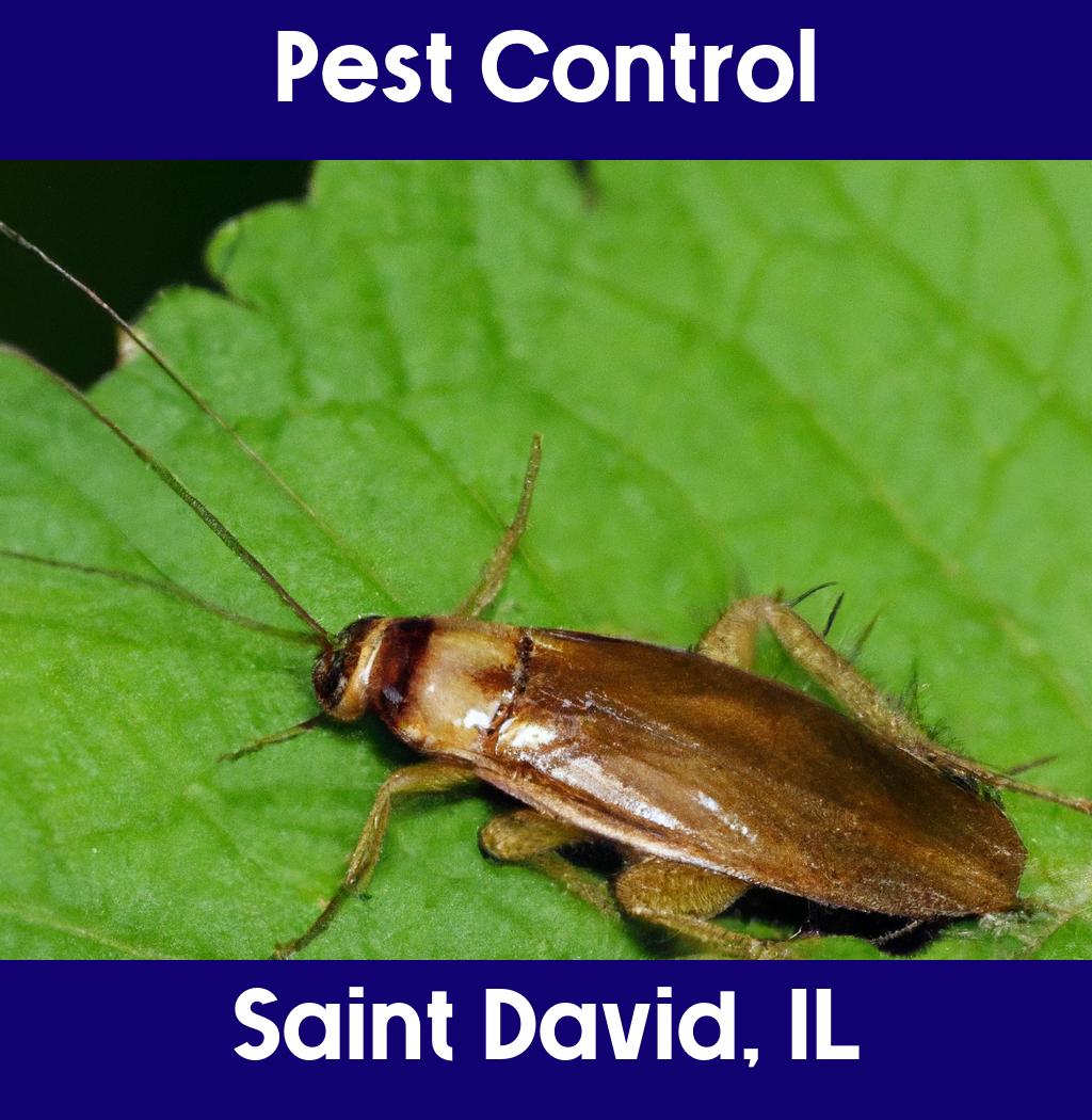 pest control in Saint David Illinois