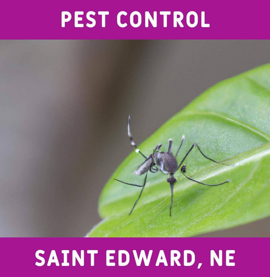 pest control in Saint Edward Nebraska
