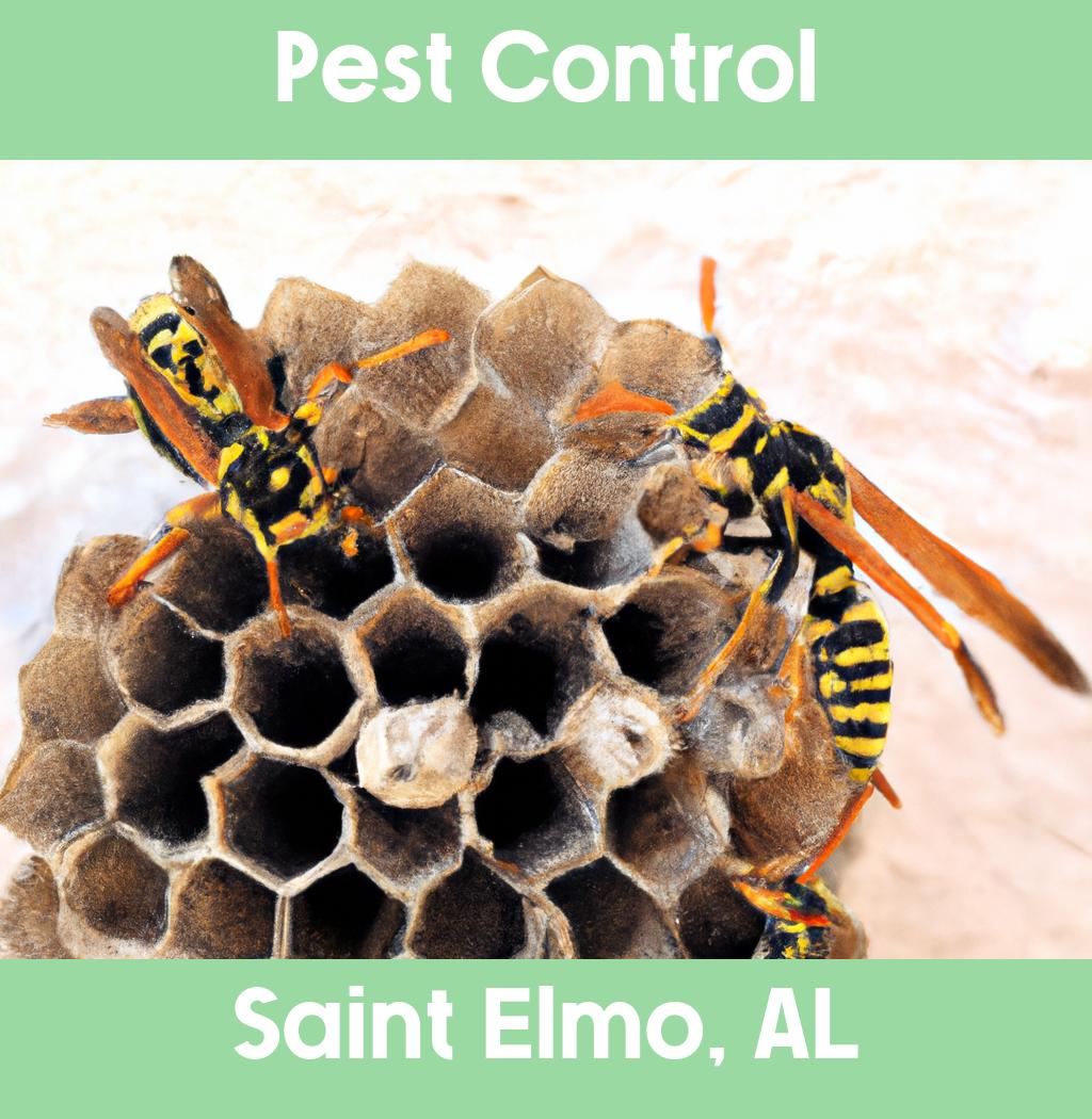 pest control in Saint Elmo Alabama