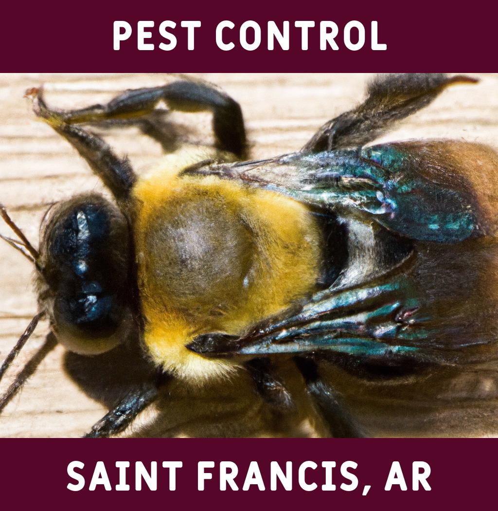 pest control in Saint Francis Arkansas