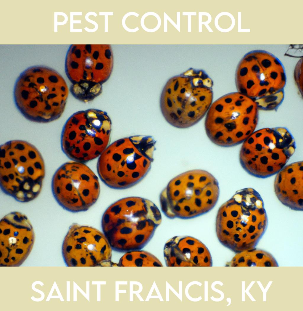 pest control in Saint Francis Kentucky