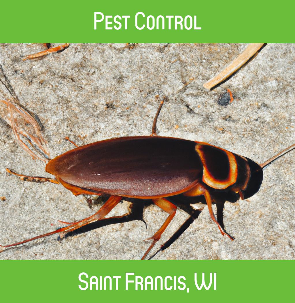 pest control in Saint Francis Wisconsin