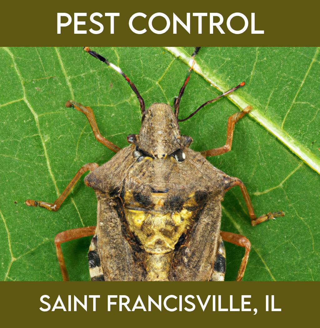 pest control in Saint Francisville Illinois