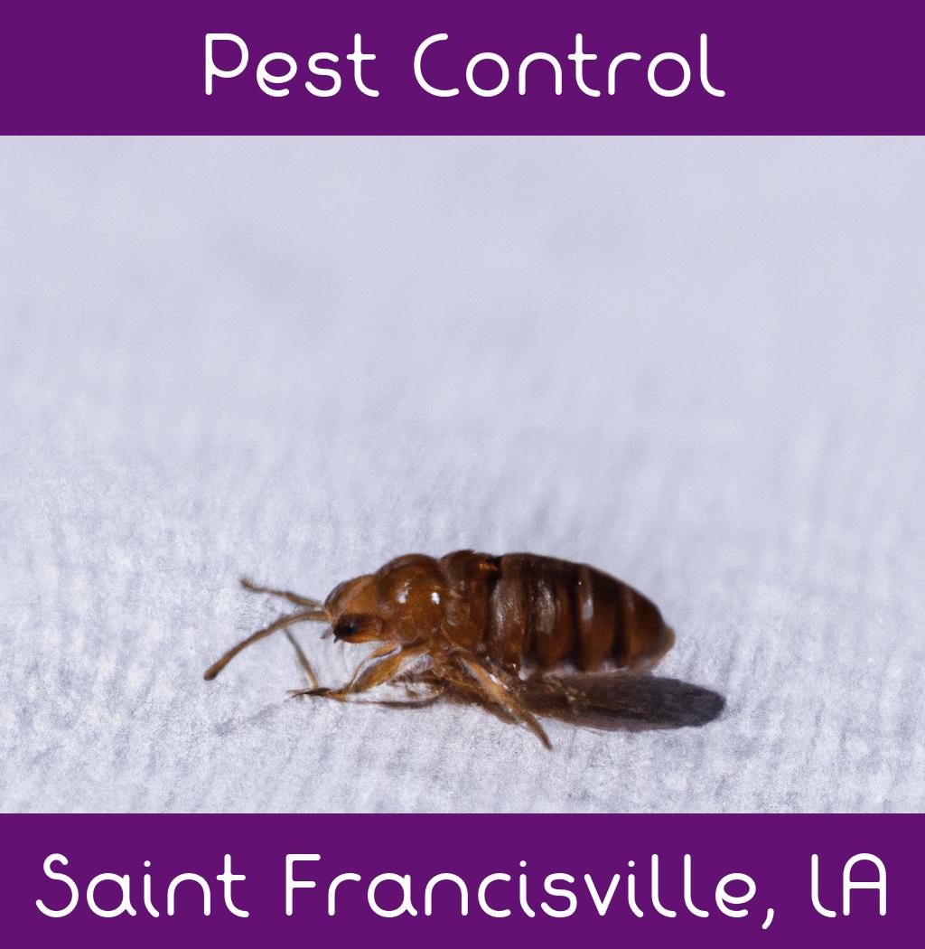 pest control in Saint Francisville Louisiana