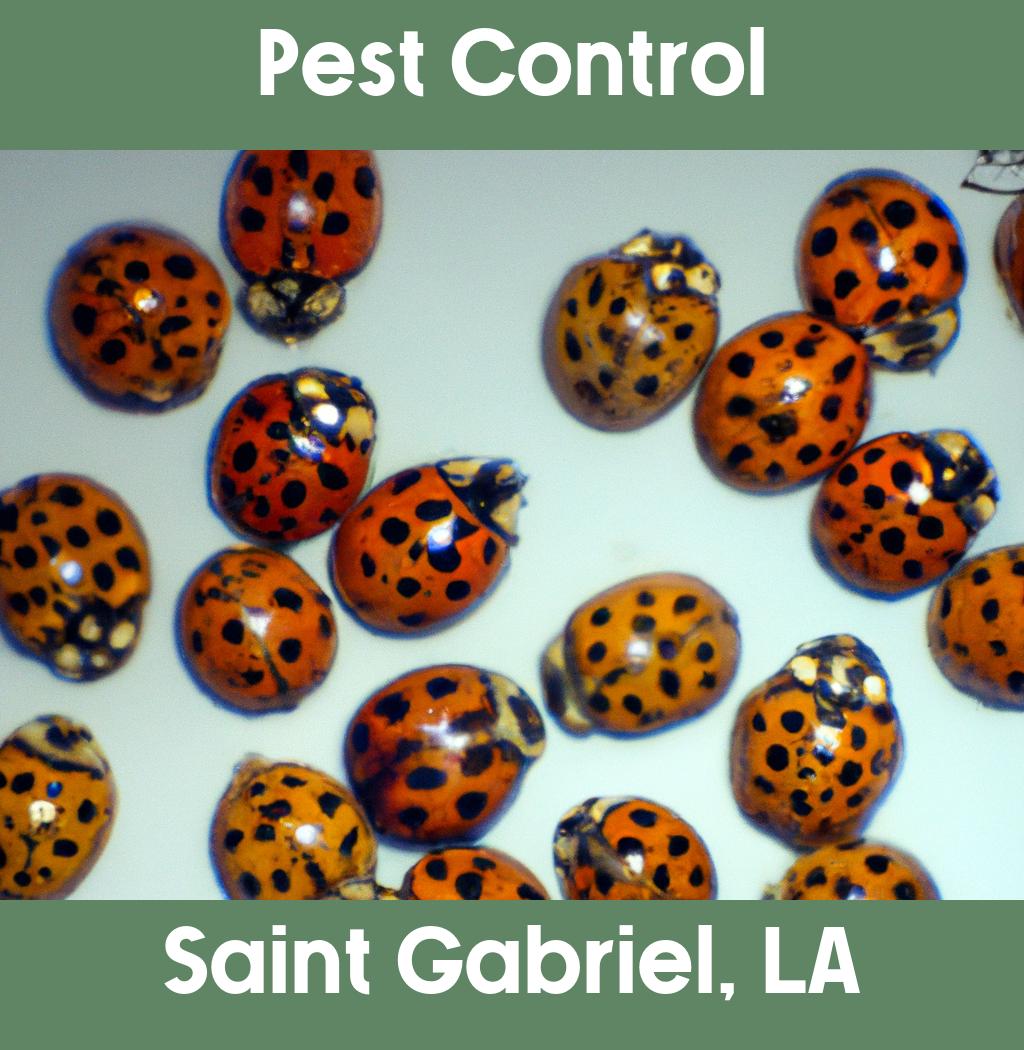 pest control in Saint Gabriel Louisiana