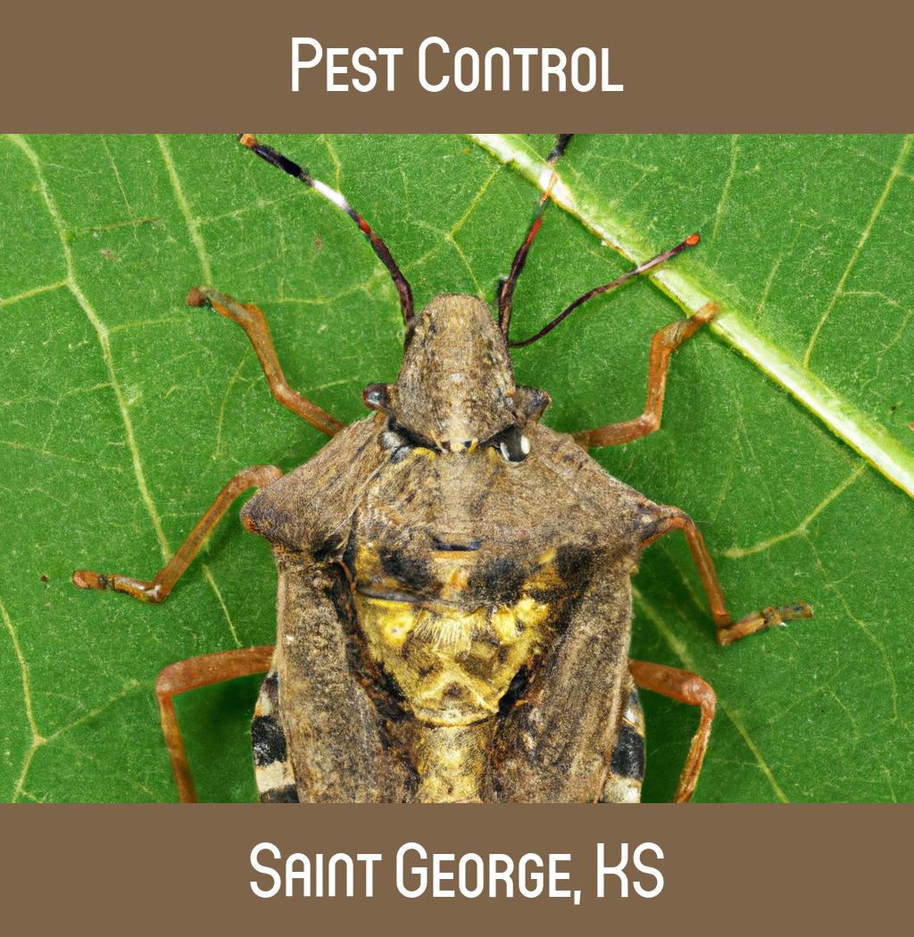 pest control in Saint George Kansas