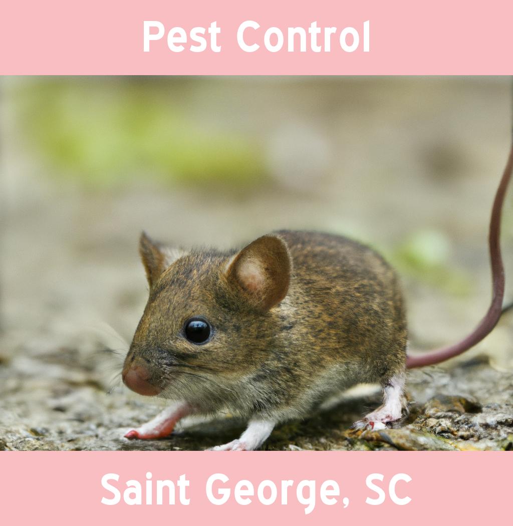 pest control in Saint George South Carolina
