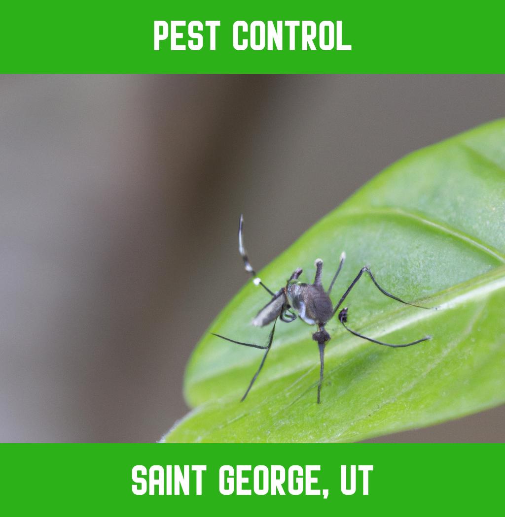 pest control in Saint George Utah