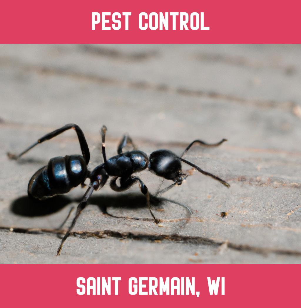 pest control in Saint Germain Wisconsin