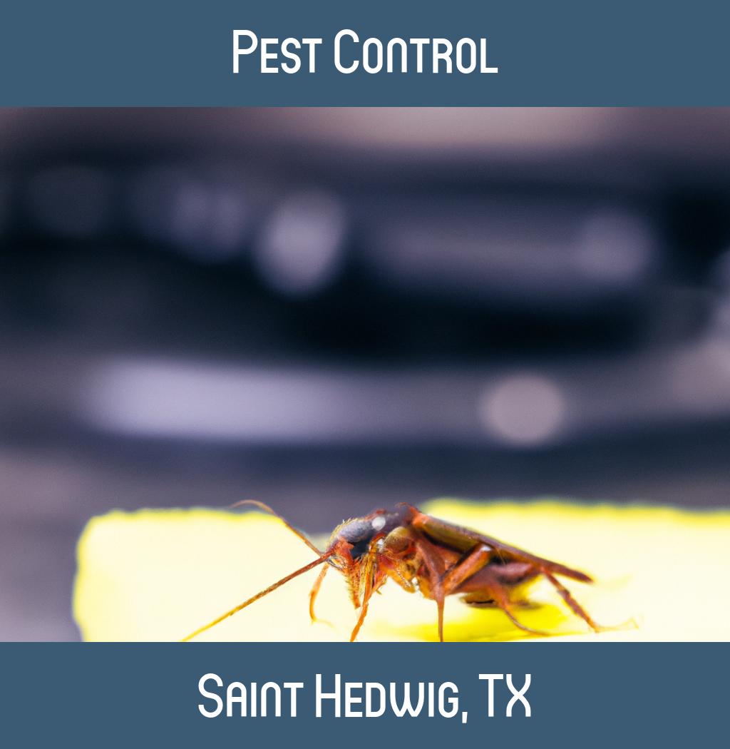 pest control in Saint Hedwig Texas