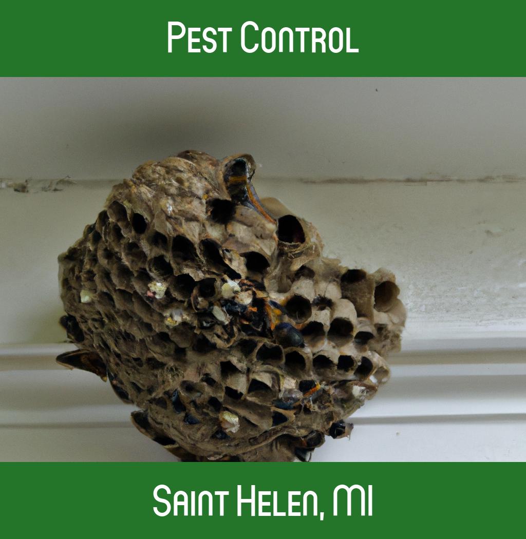 pest control in Saint Helen Michigan