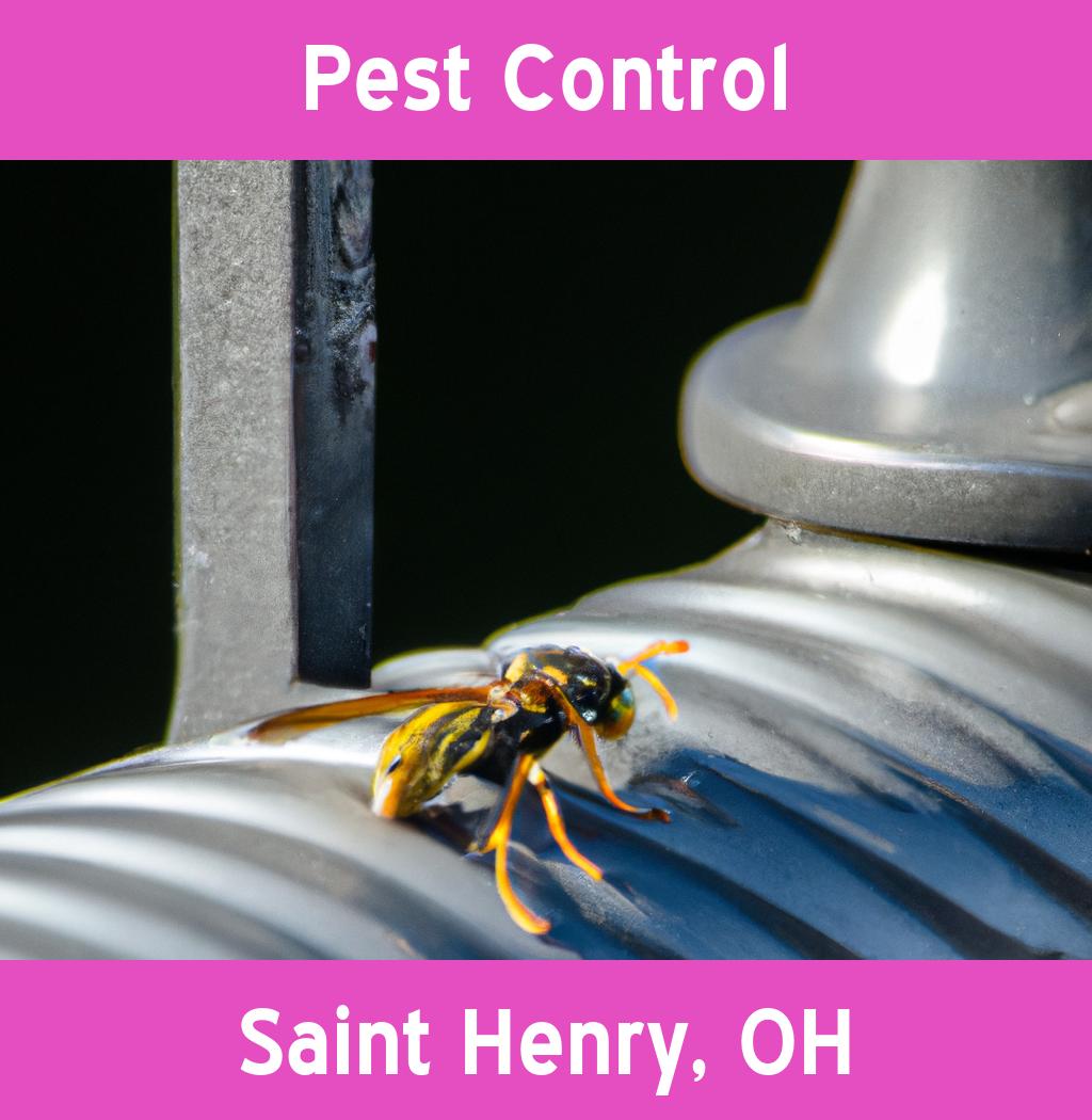 pest control in Saint Henry Ohio