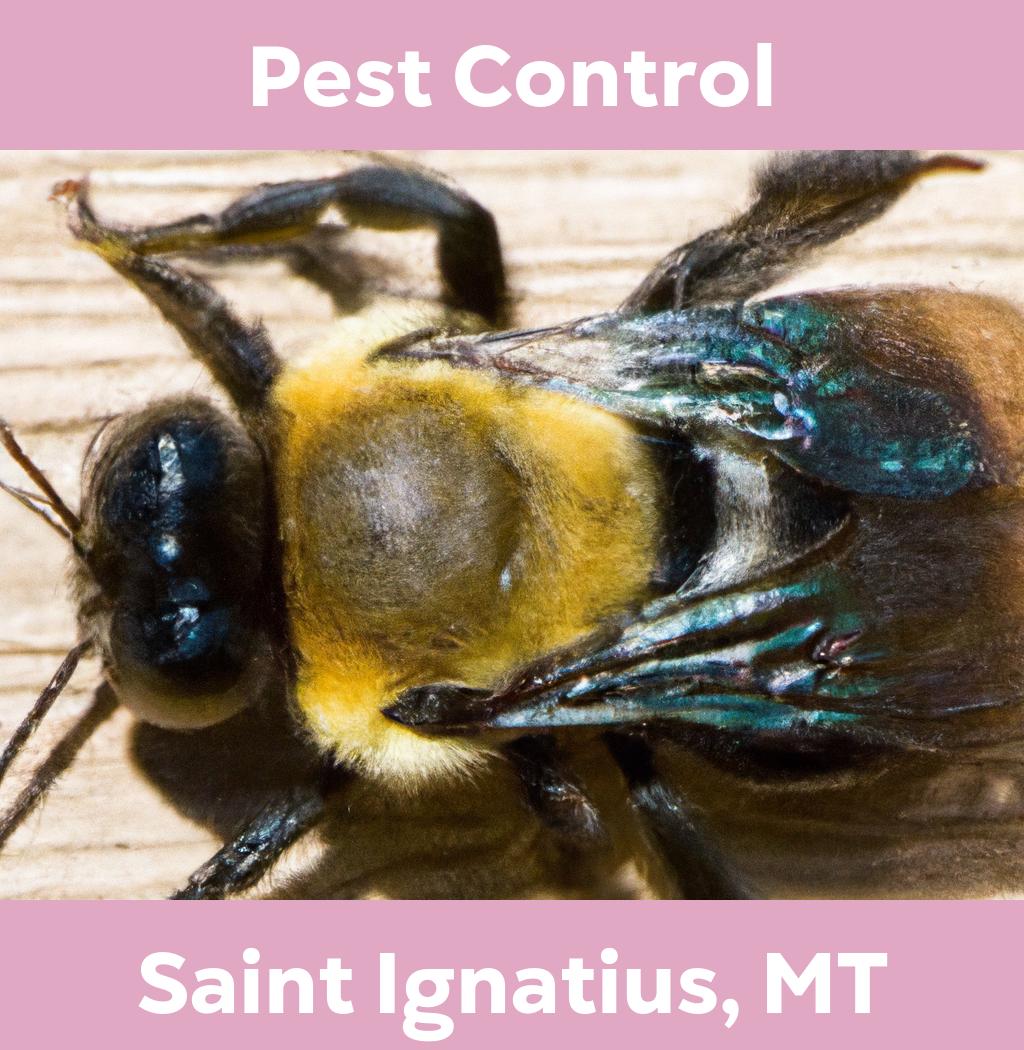 pest control in Saint Ignatius Montana