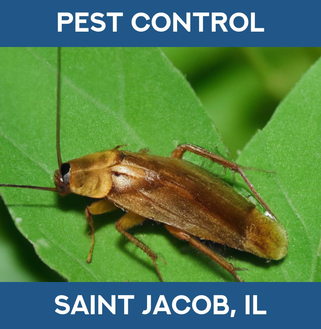 pest control in Saint Jacob Illinois