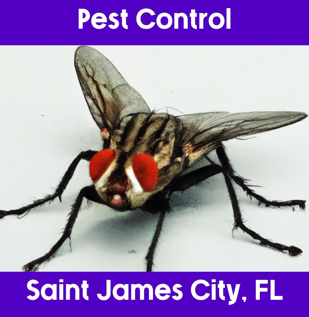 pest control in Saint James City Florida