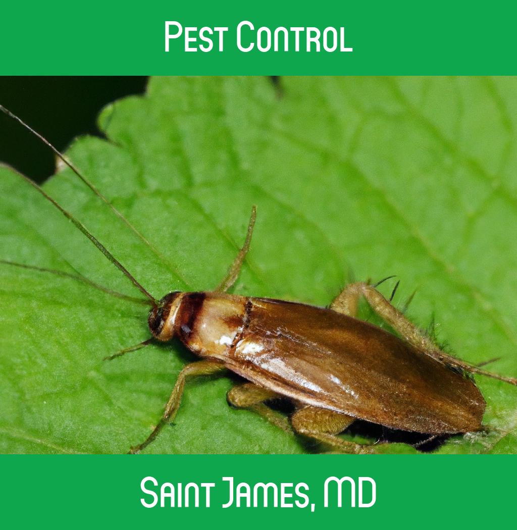 pest control in Saint James Maryland