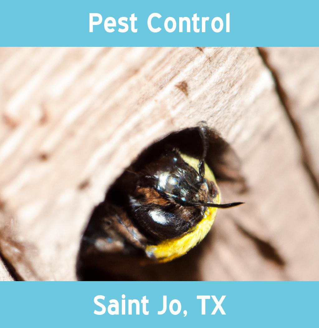 pest control in Saint Jo Texas