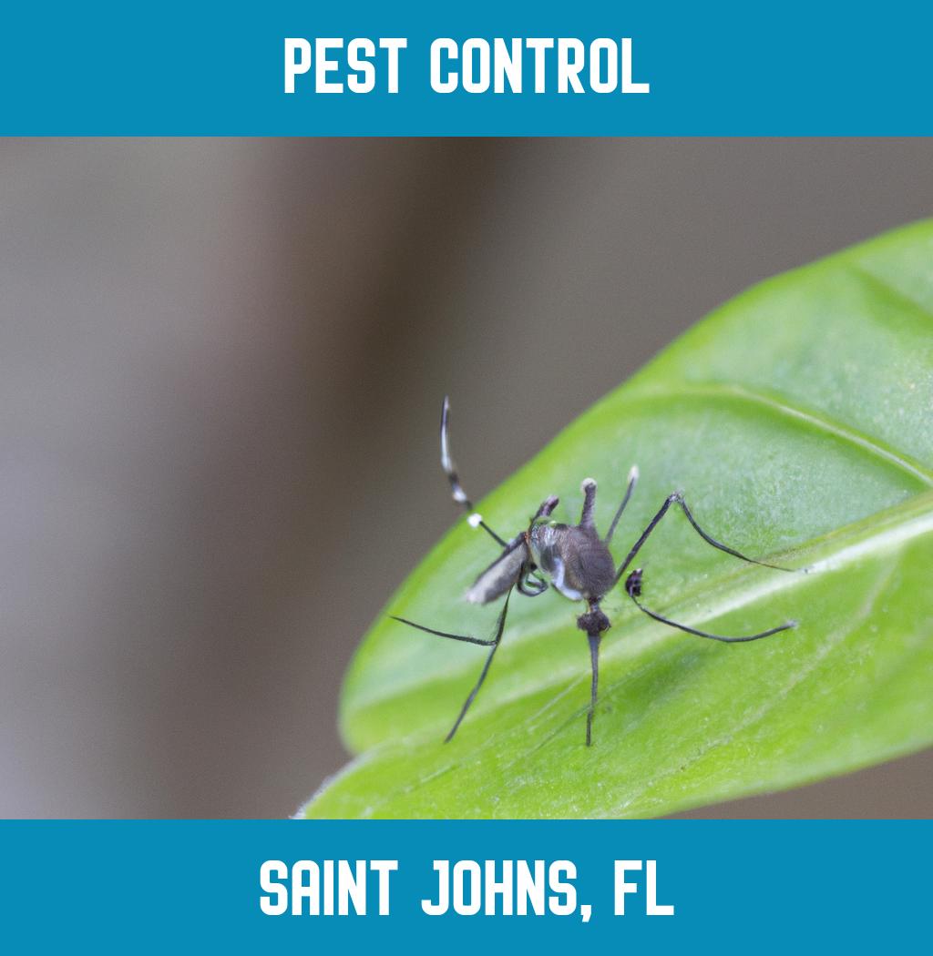 pest control in Saint Johns Florida