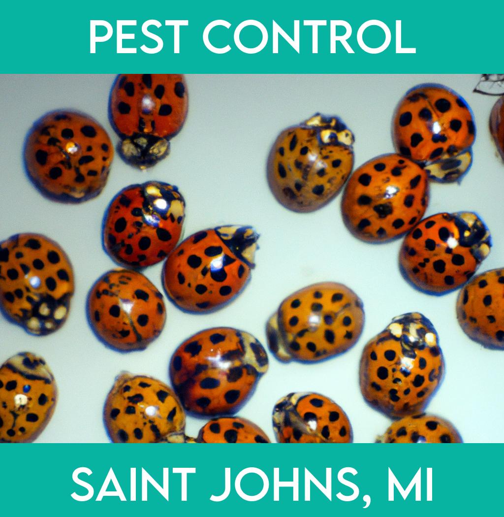 pest control in Saint Johns Michigan