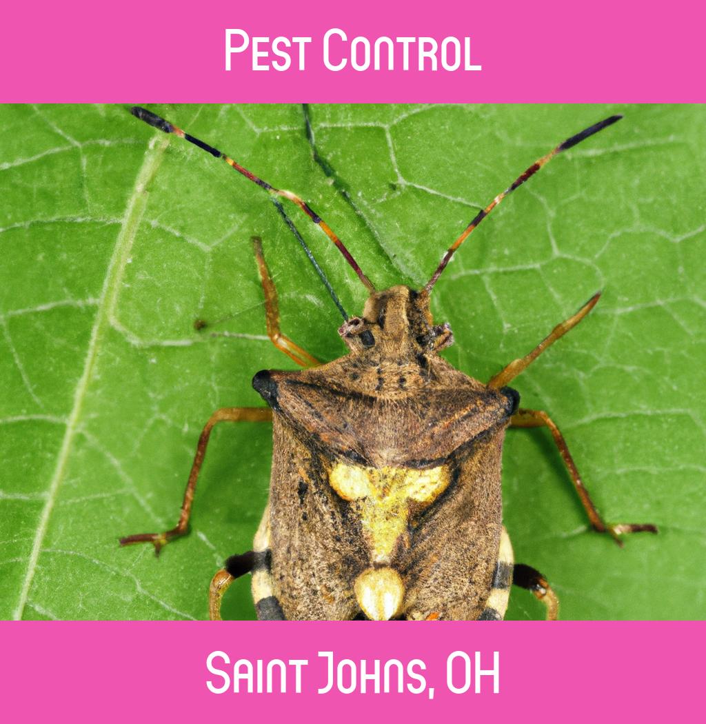 pest control in Saint Johns Ohio
