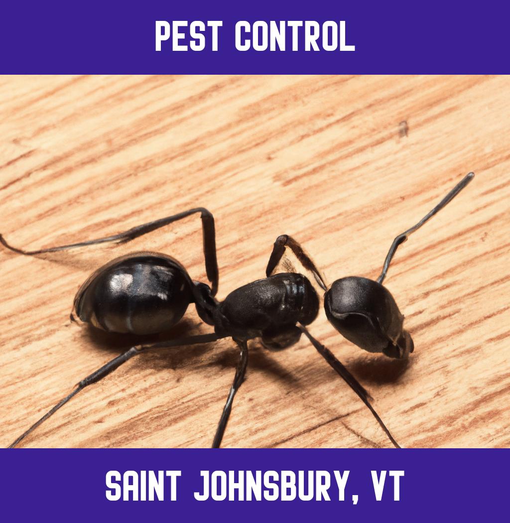 pest control in Saint Johnsbury Vermont