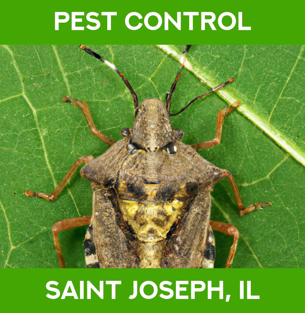 pest control in Saint Joseph Illinois