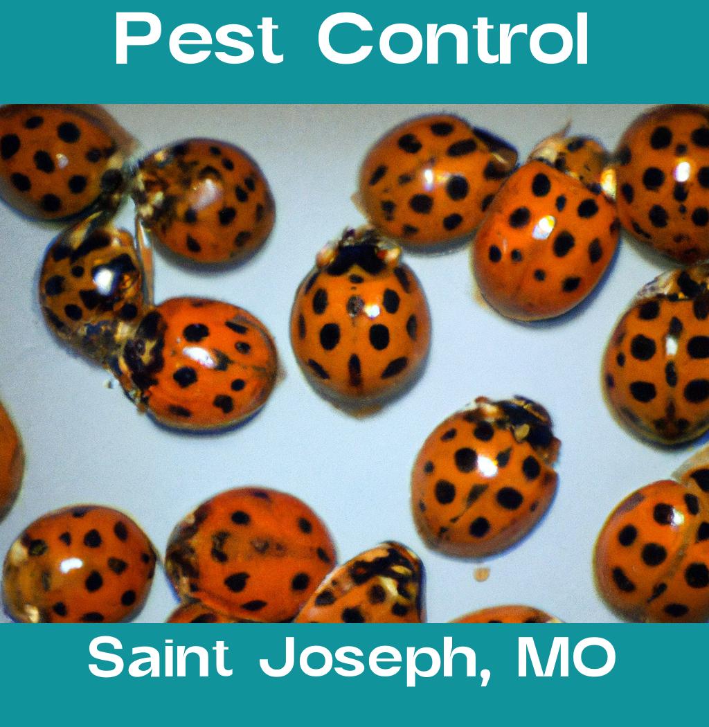 pest control in Saint Joseph Missouri