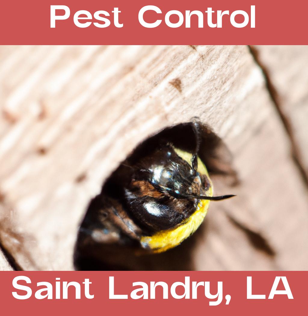 pest control in Saint Landry Louisiana