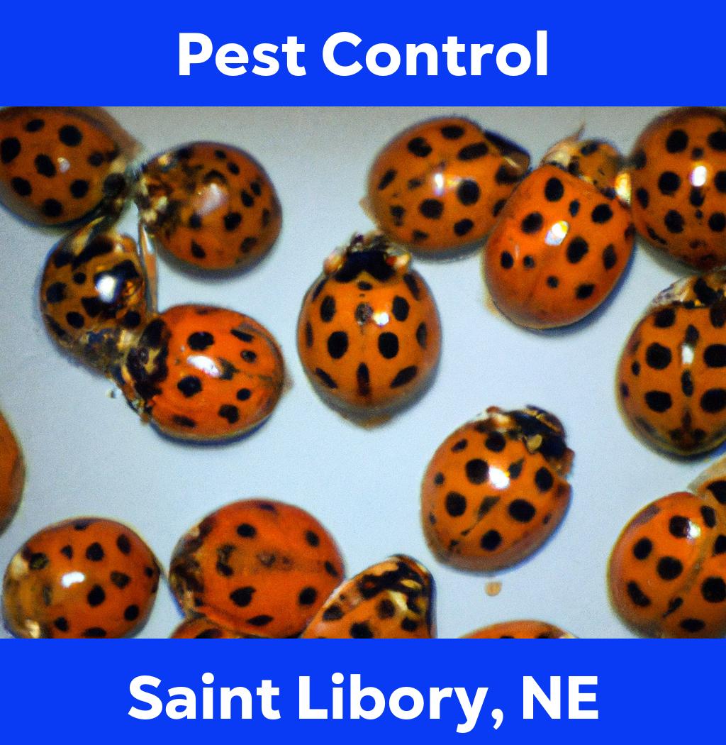 pest control in Saint Libory Nebraska