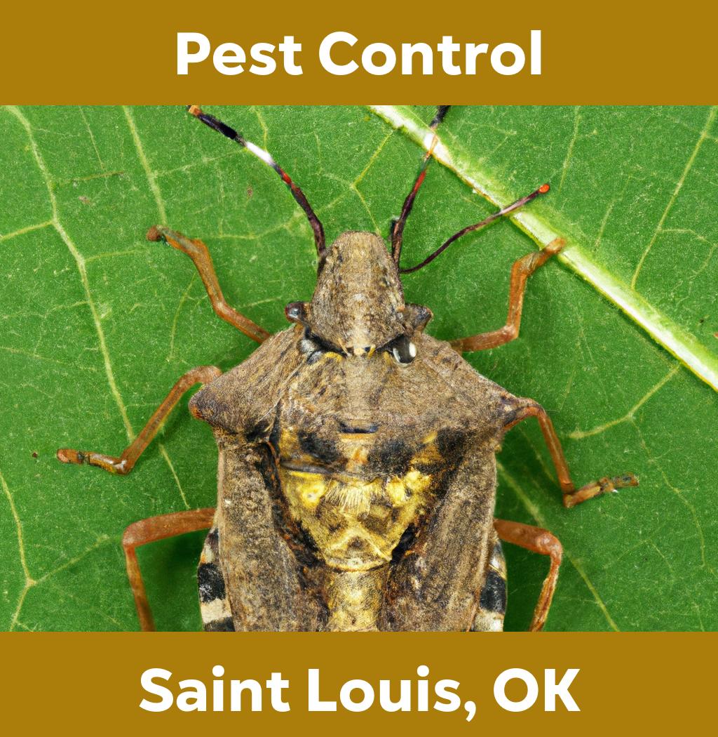 pest control in Saint Louis Oklahoma