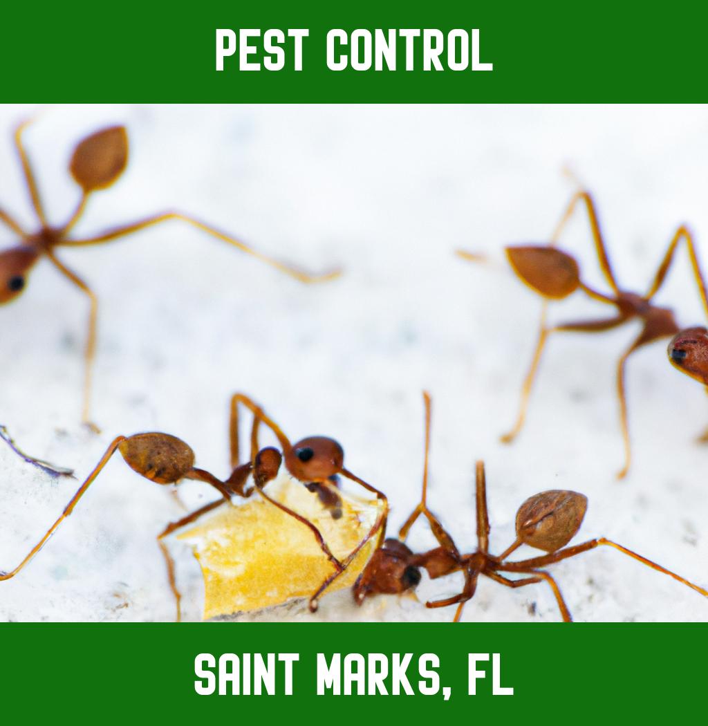 pest control in Saint Marks Florida