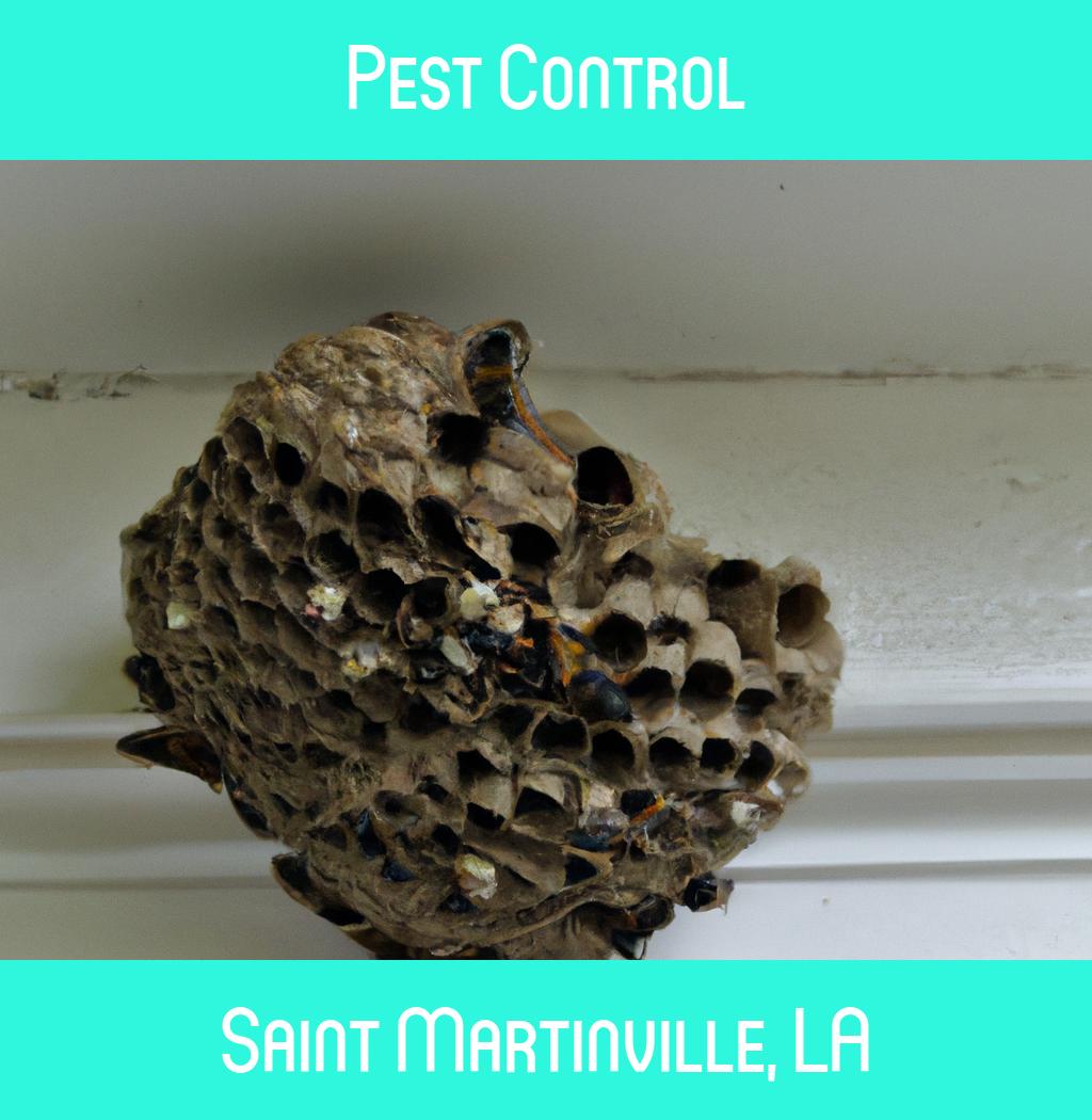 pest control in Saint Martinville Louisiana
