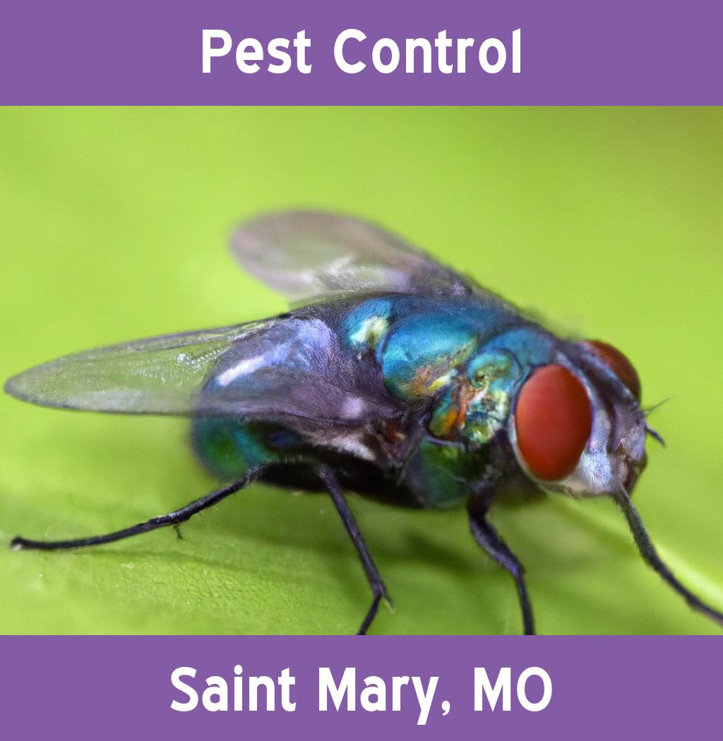 pest control in Saint Mary Missouri