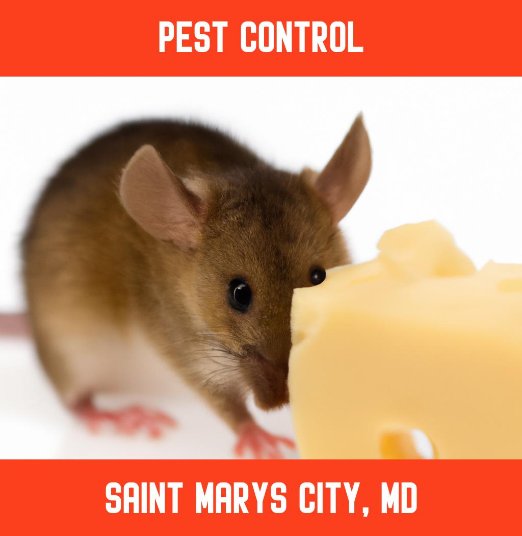pest control in Saint Marys City Maryland