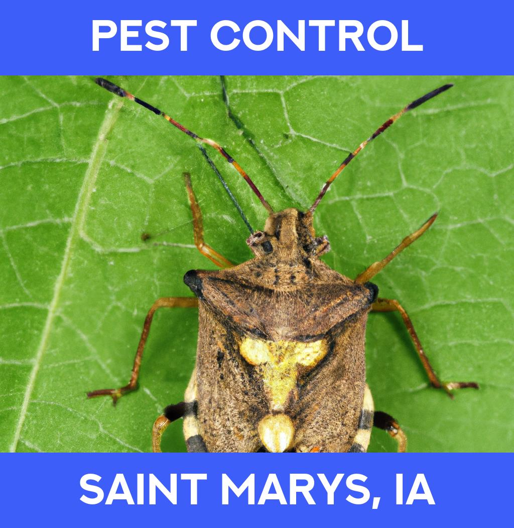 pest control in Saint Marys Iowa